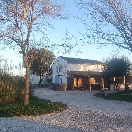 Appartamento Mas Constantin Salin-de-Giraud Esterno foto